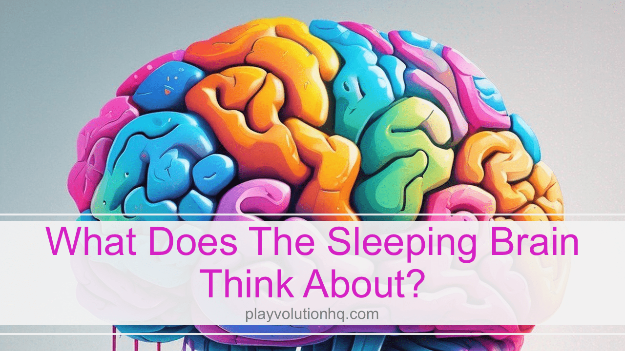 What does the sleeping brain think about?