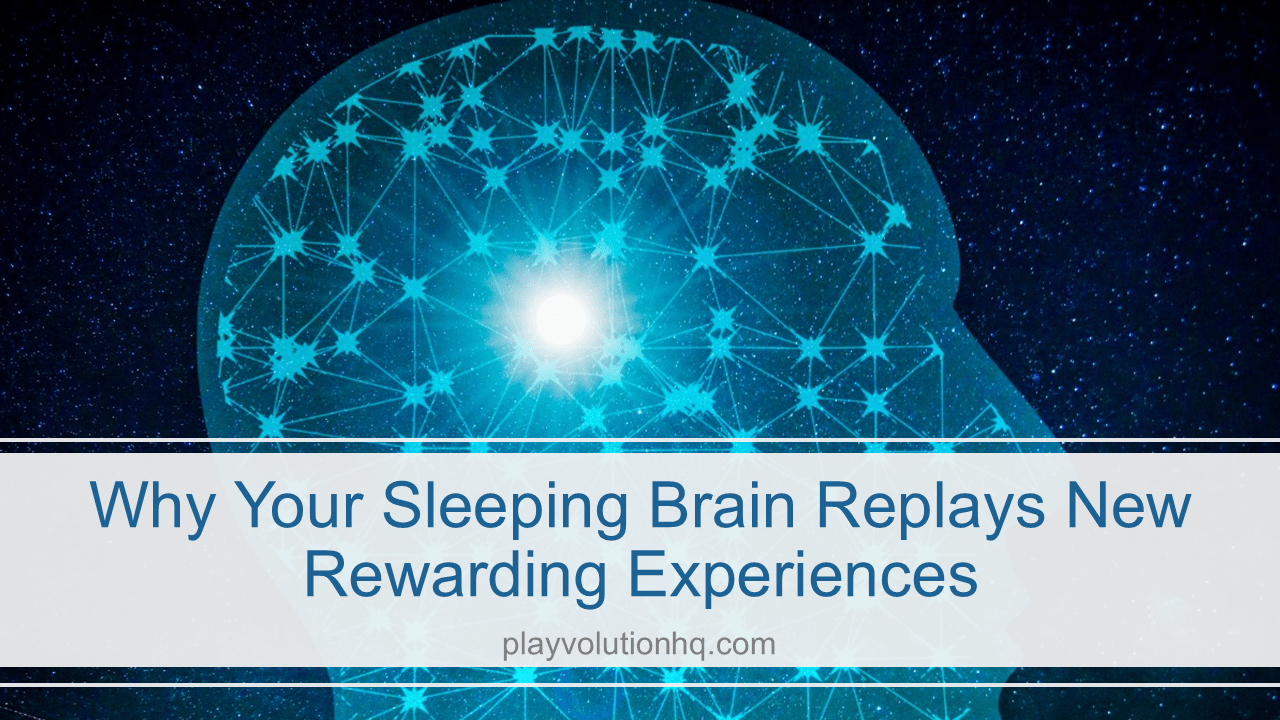 Why Your Sleeping Brain Replays New Rewarding Experiences