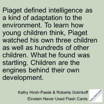 Einstein Never Used Flash Cards | Quote 03120