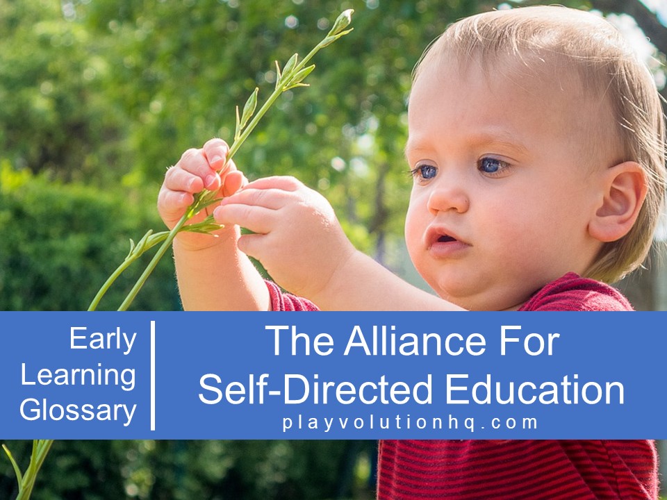 The Alliance For Self-Directed Education