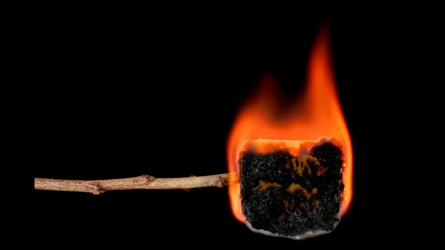 The marshmallow test: Bunkum or a true predictor of future success?