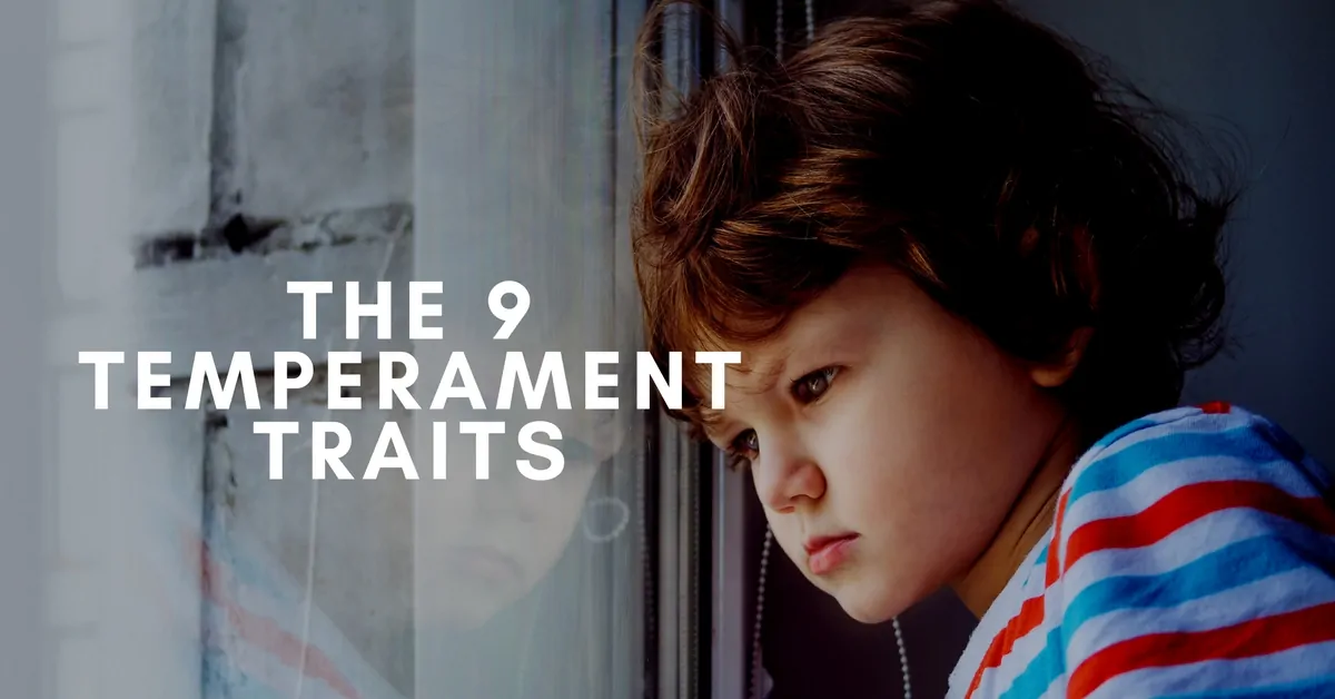 The 9 Temperament Traits