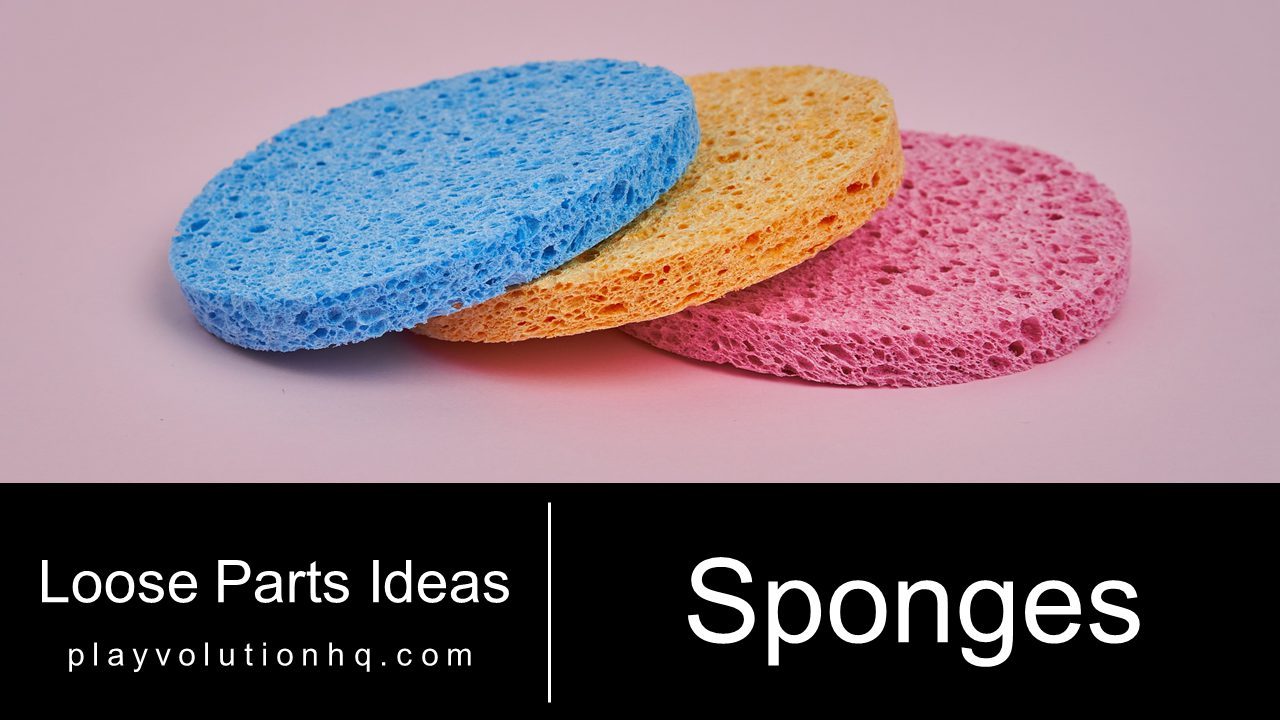 Sponges