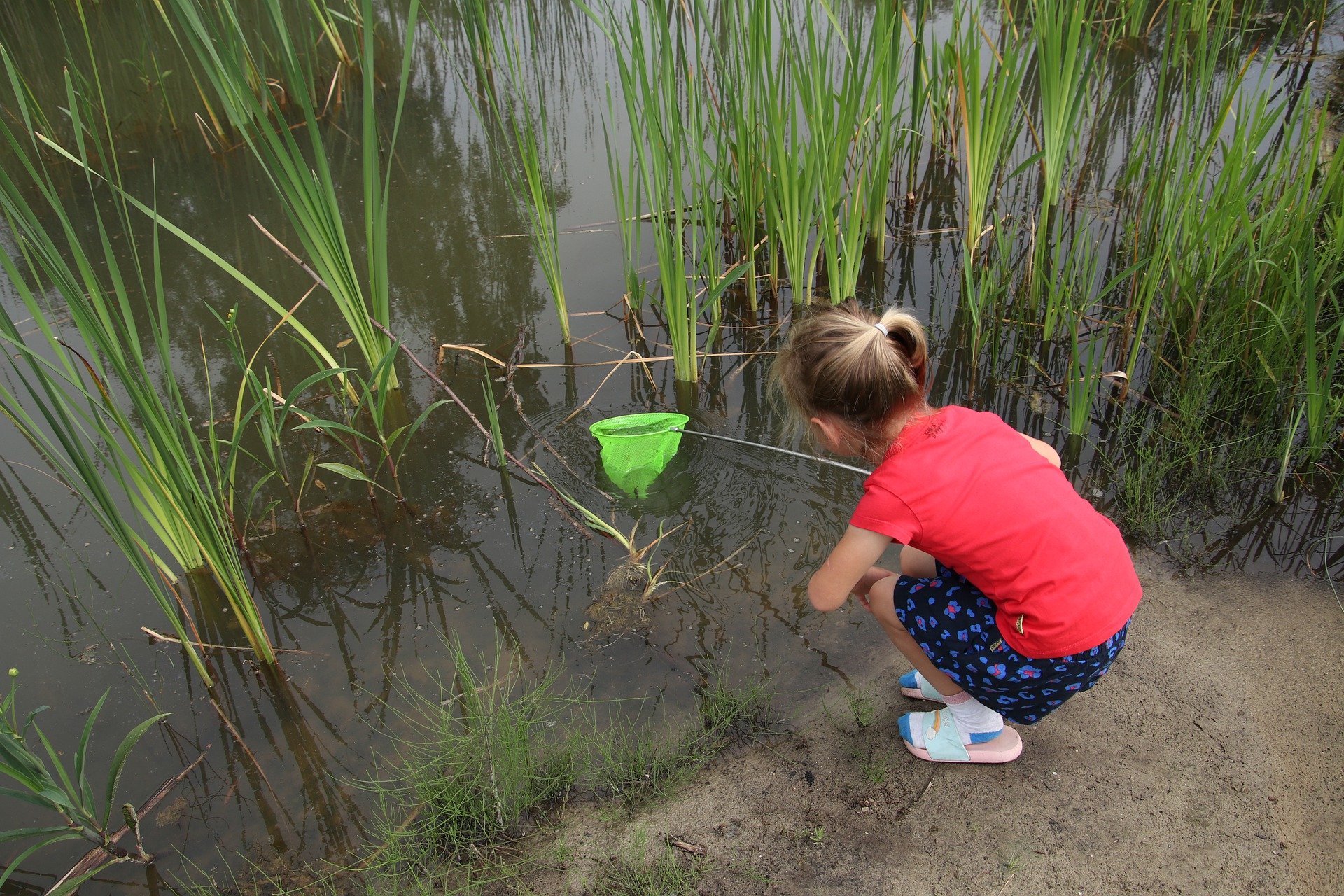 How Do Norwegian and U.S. Kindergartens Differ?