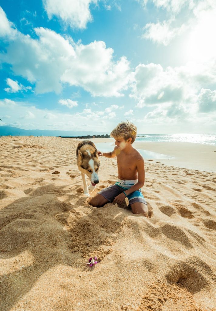 boy seating on brown sand