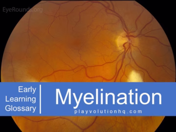 Myelination