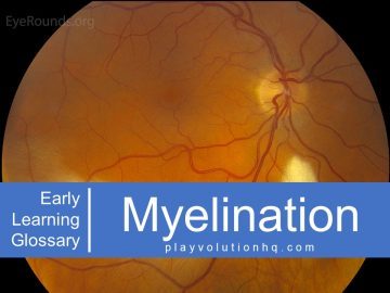 Myelination