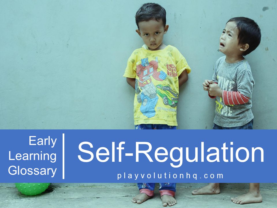 Self-Regulation