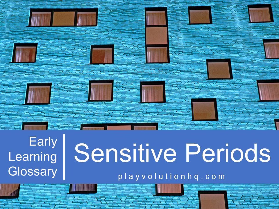 Sensitive Periods