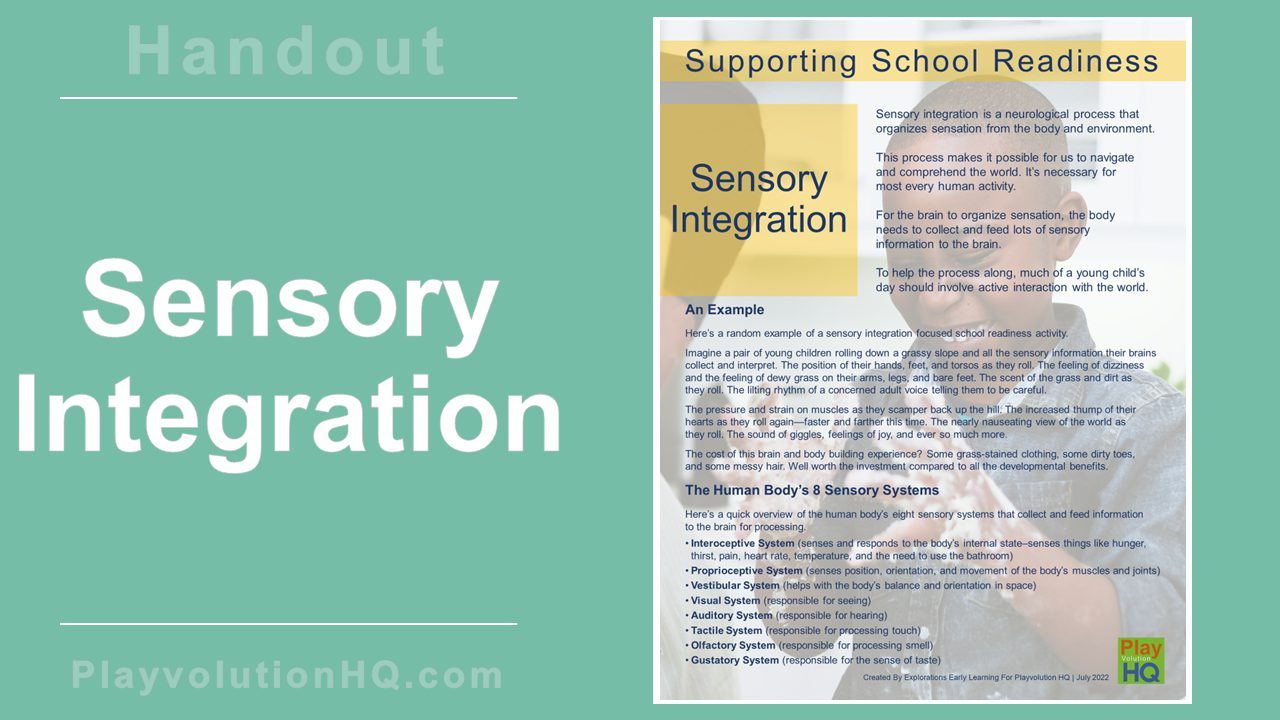 Sensory Integration