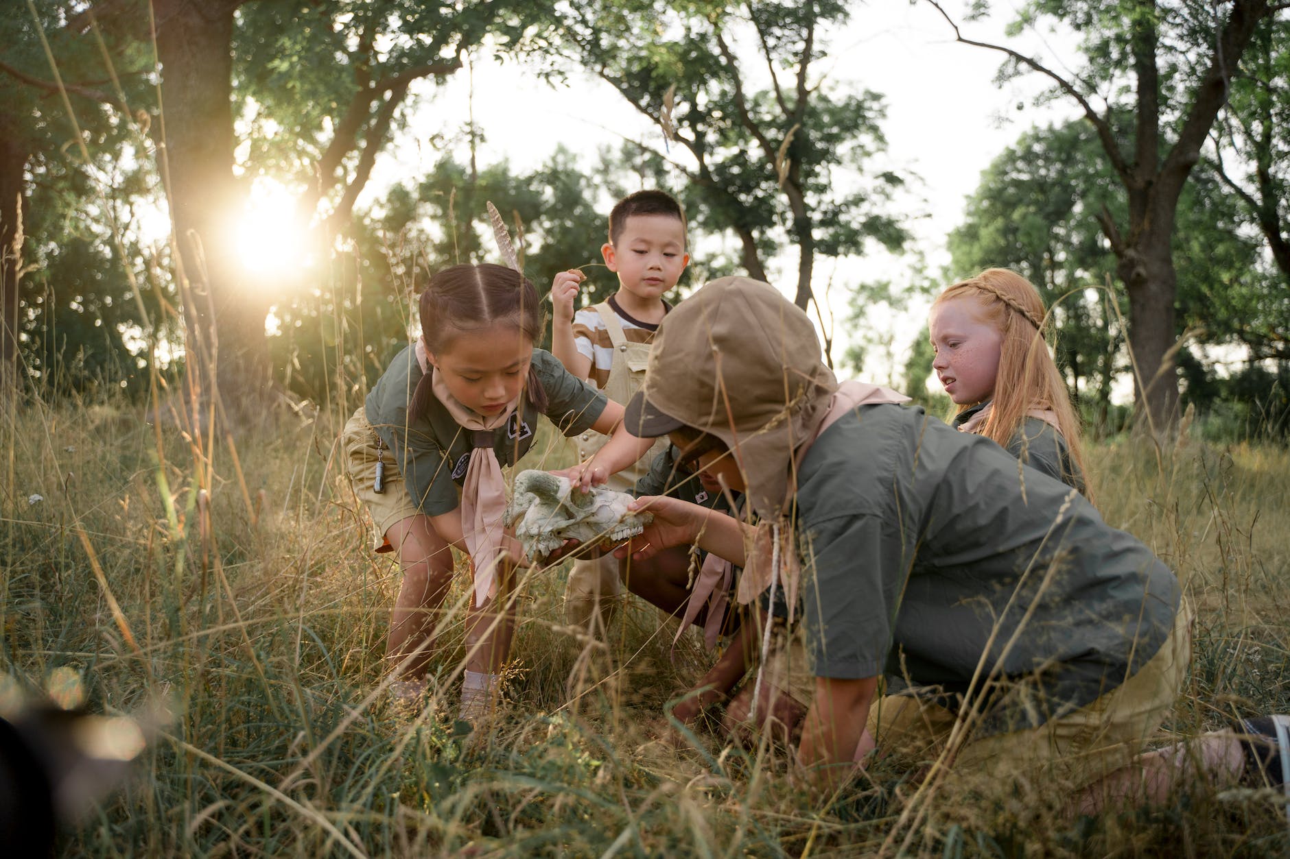 group of young scouts finding an animal skul