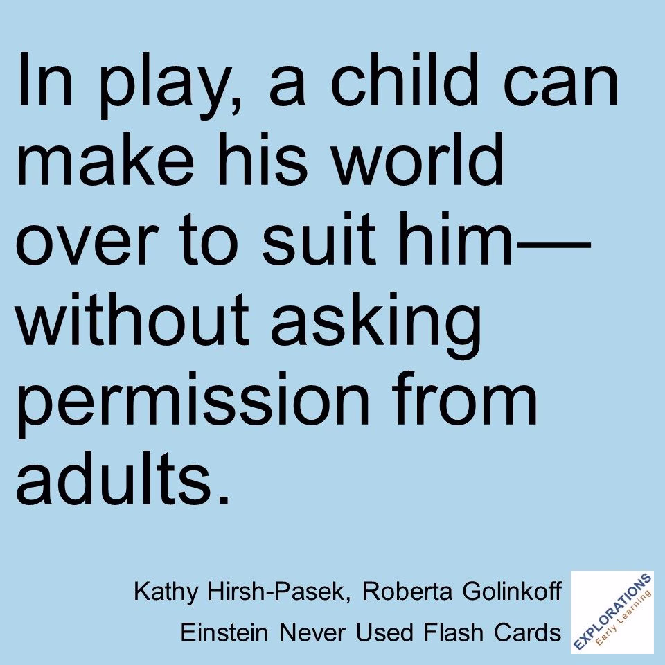 Einstein Never Used Flash Cards | Quote 02036