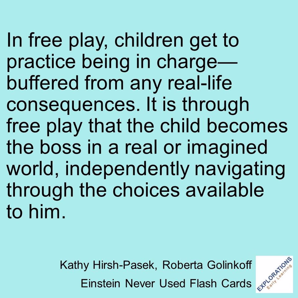 Einstein Never Used Flash Cards | Quote 02068