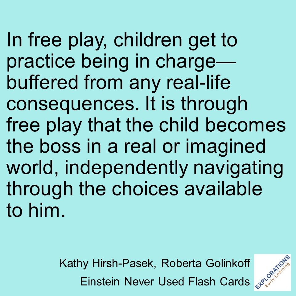 Einstein Never Used Flash Cards | Quote 02068