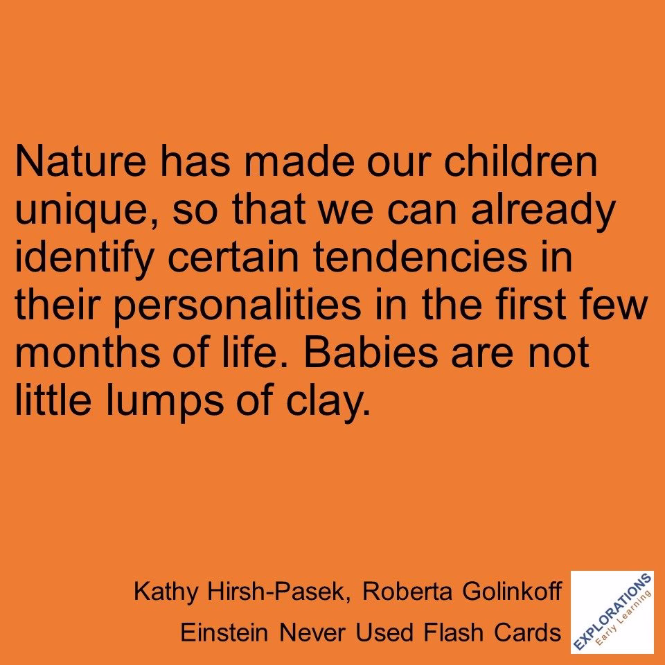 Einstein Never Used Flash Cards | Quote 02074