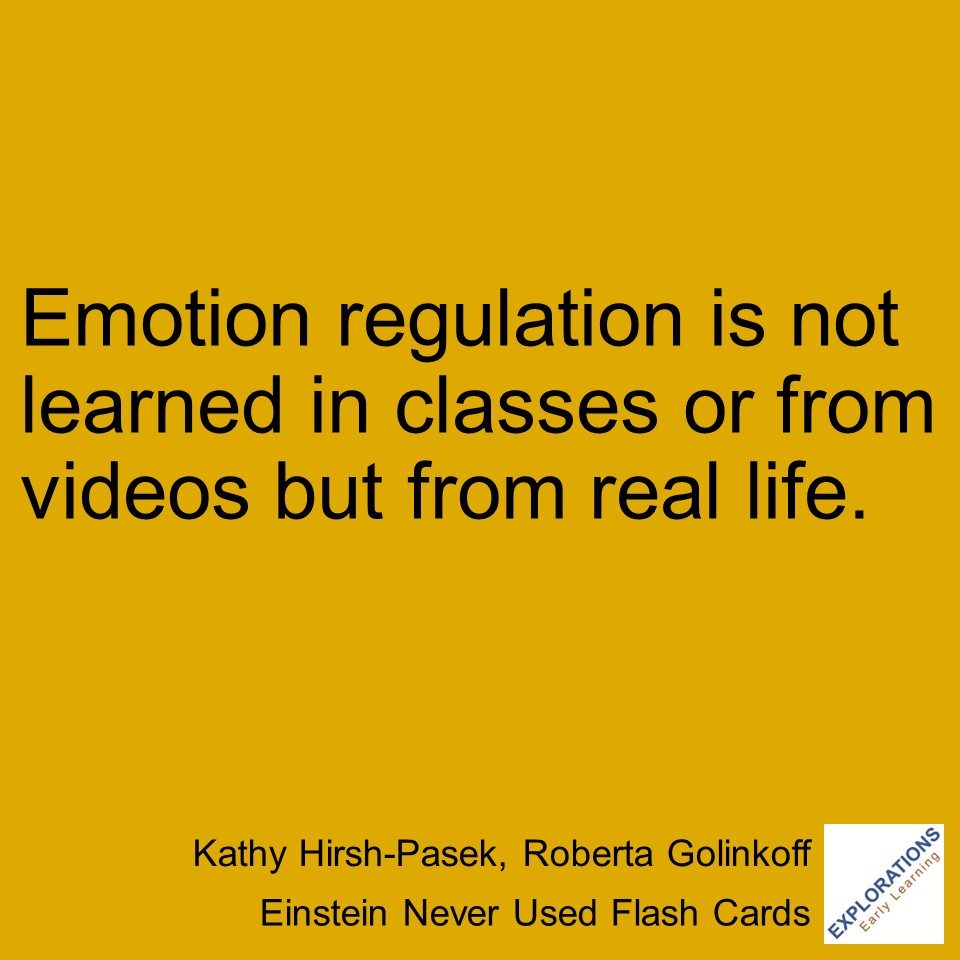 Einstein Never Used Flash Cards | Quote 02177