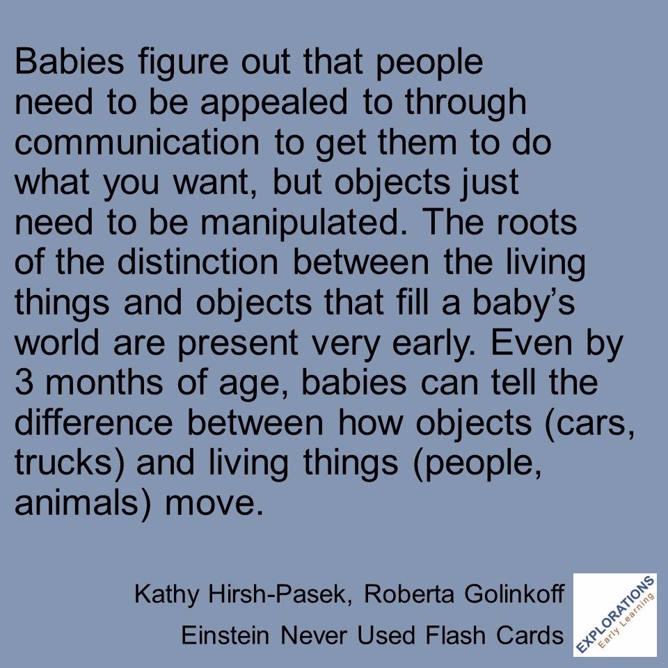 Einstein Never Used Flash Cards | Quote 02179