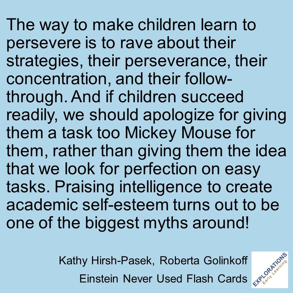 Einstein Never Used Flash Cards | Quote 02219