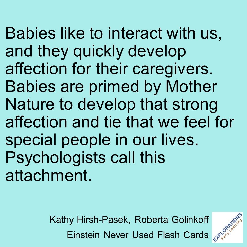 Einstein Never Used Flash Cards | Quote 02273