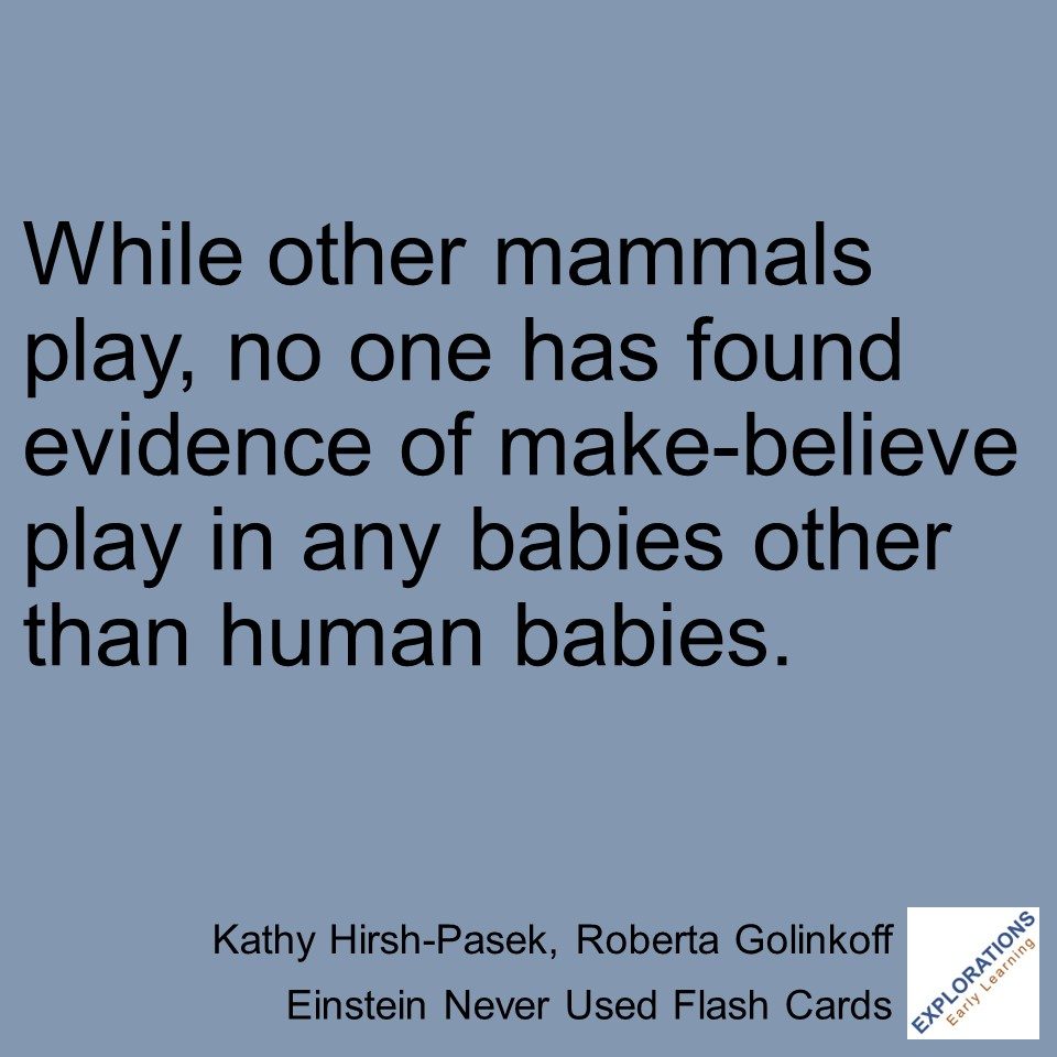 Einstein Never Used Flash Cards | Quote 02309