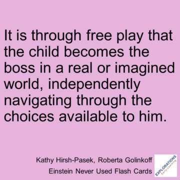 Einstein Never Used Flash Cards | Quote 02343