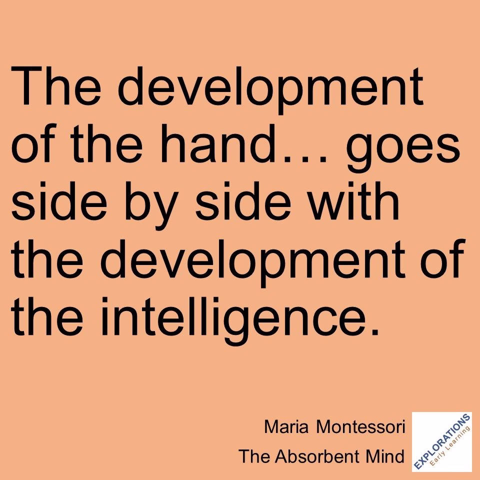 The Absorbent Mind | Quote 03559