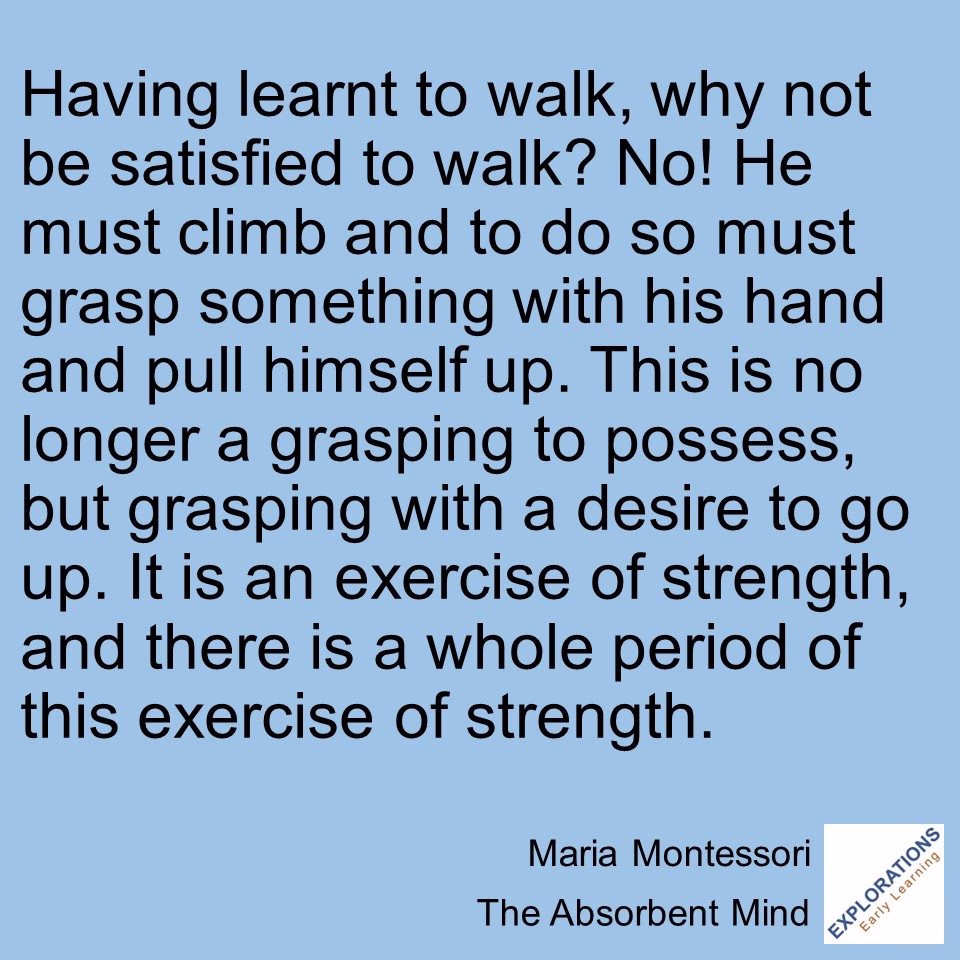 The Absorbent Mind | Quote 03561