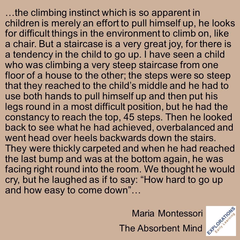 The Absorbent Mind | Quote 03563