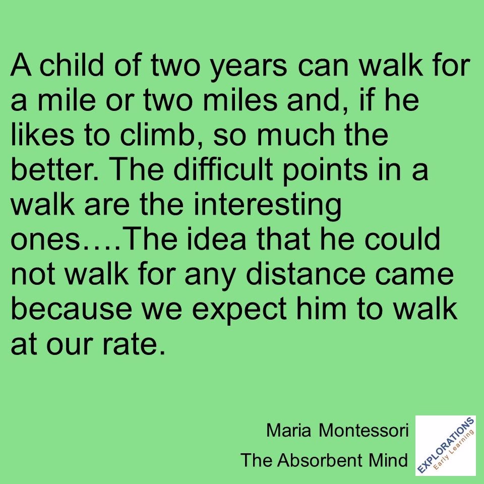 The Absorbent Mind | Quote 03564