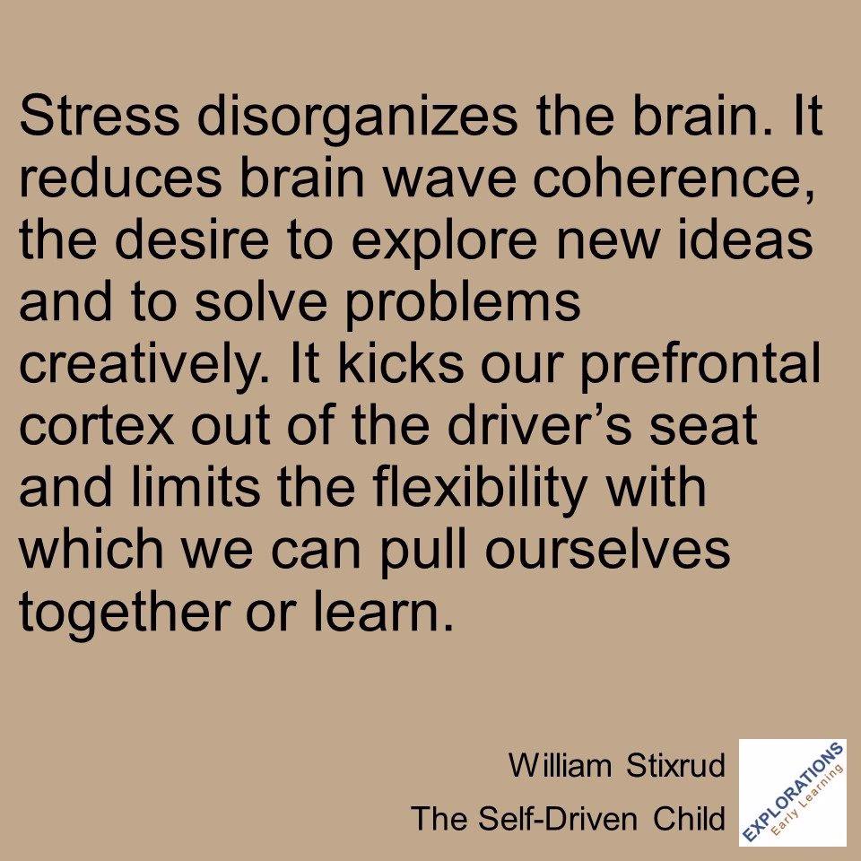 The Self-Driven Child | Quote 03553