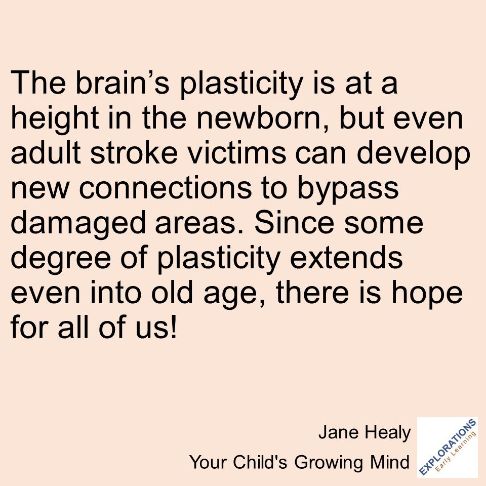 Your Child’s Growing Mind | Quote 03447