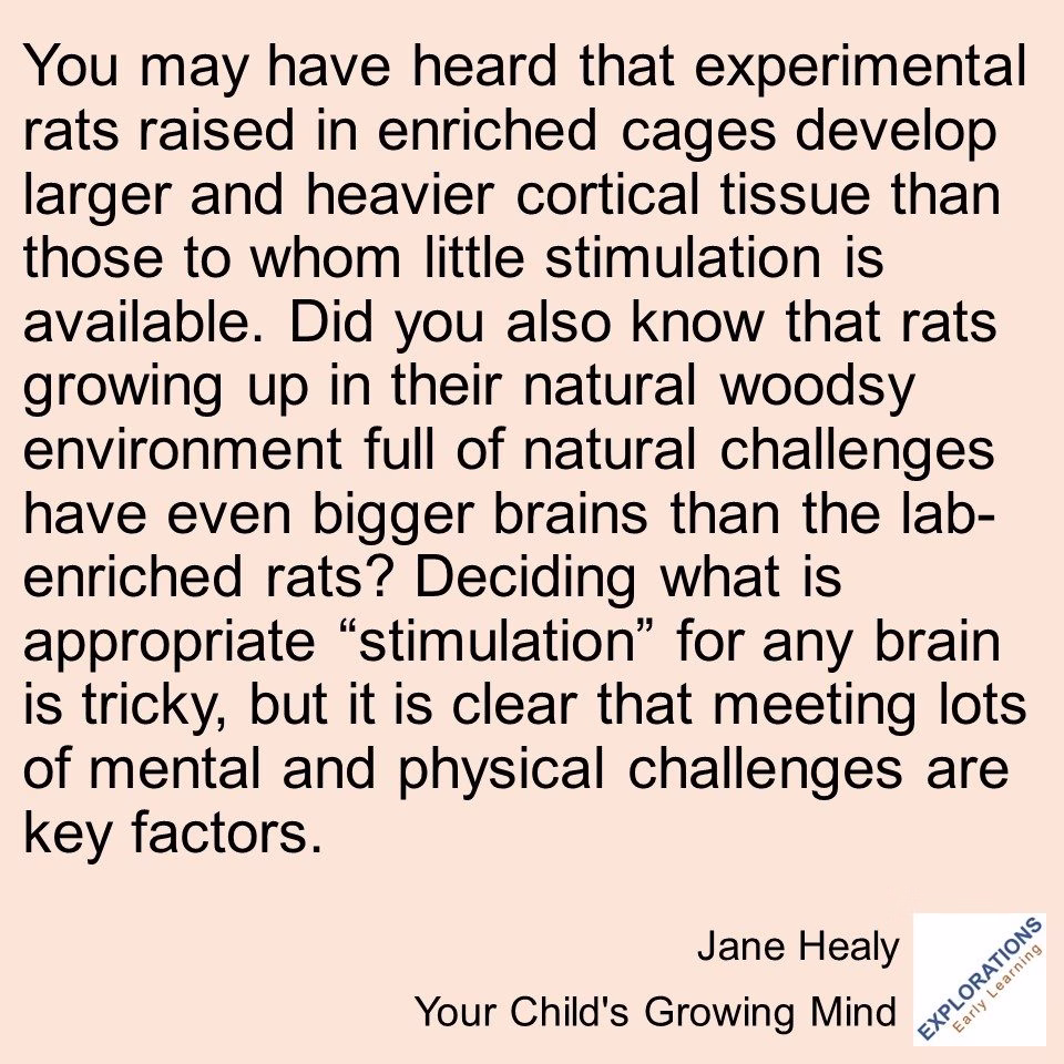 Your Child’s Growing Mind | Quote 03458