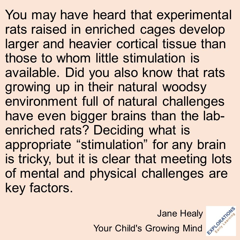 Your Child’s Growing Mind | Quote 03458