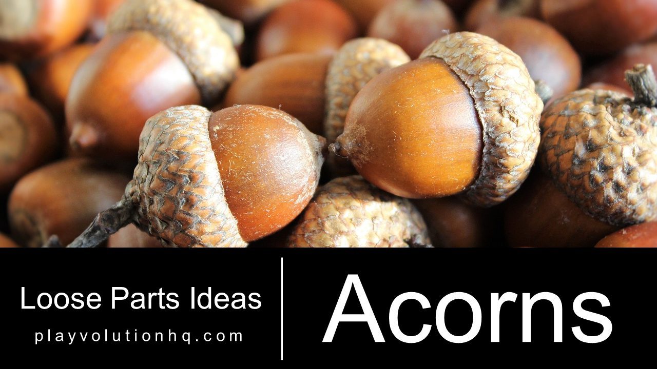 Acorns