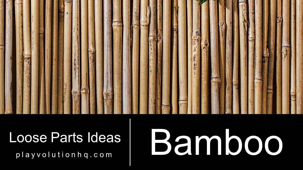 Bamboo