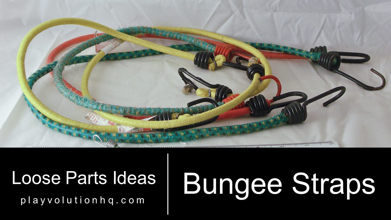 Bungee Straps