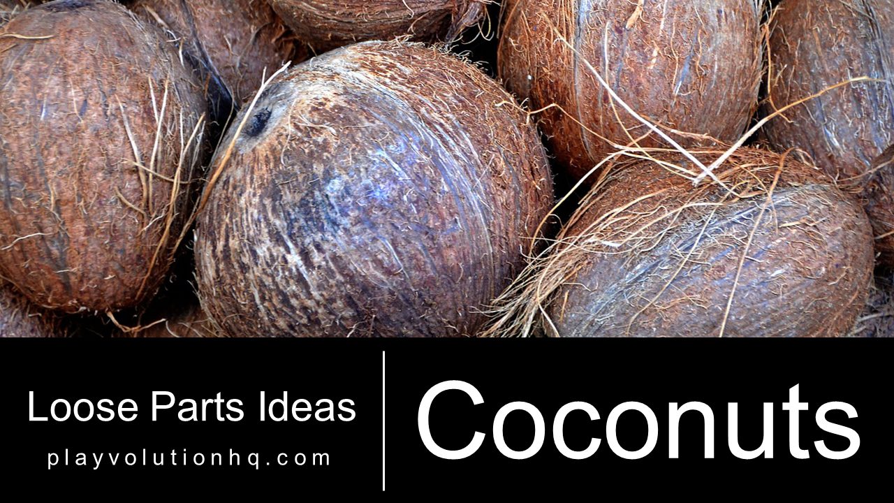 Coconuts