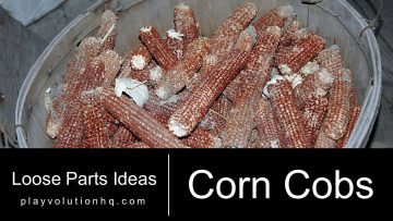 Corn Cobs