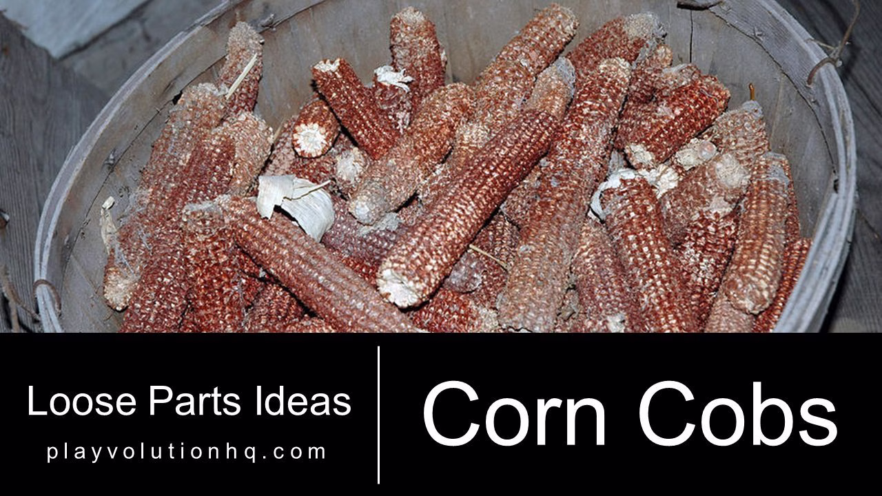 Corn Cobs