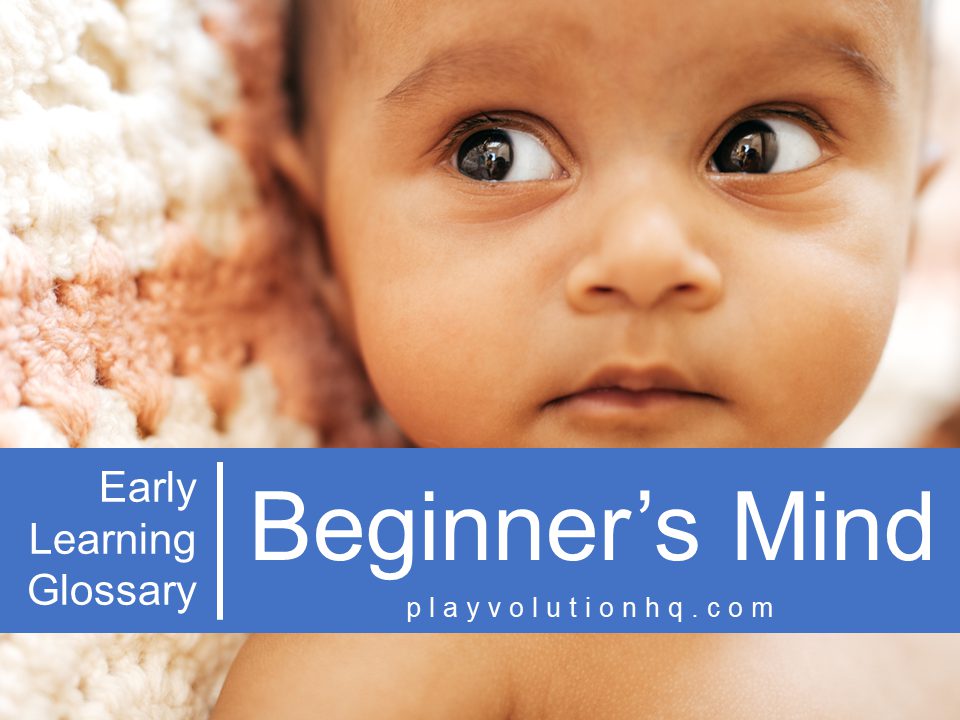 Beginner’s Mind