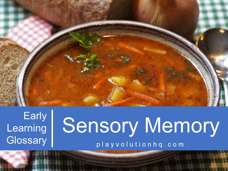 Sensory Memory