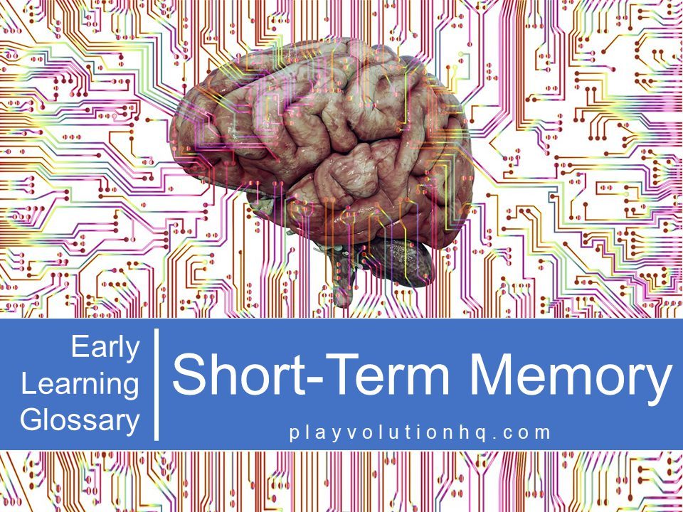 Short-Term Memory