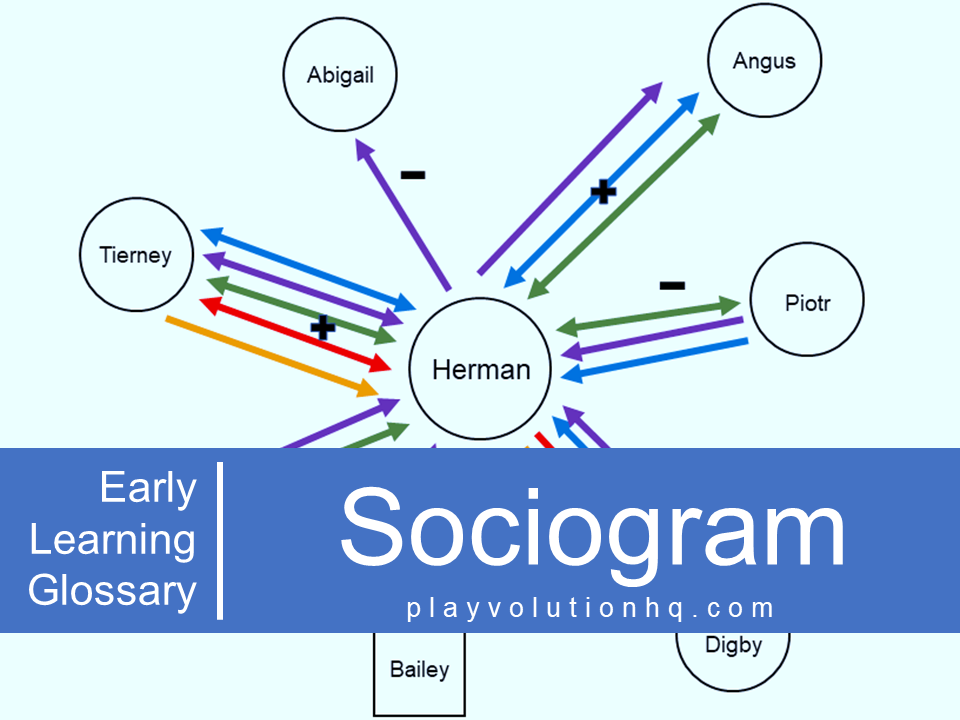 Sociogram