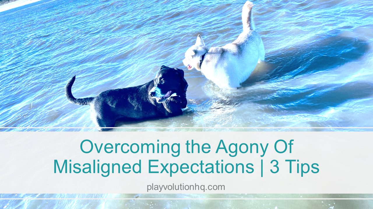 Overcoming The Agony Of Misaligned Expectations | 3 Tips