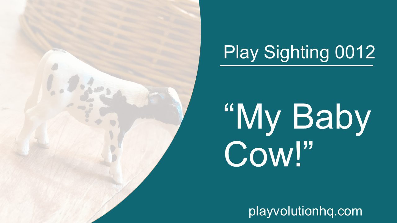 “My Baby Cow!” | Play Sighting 0012