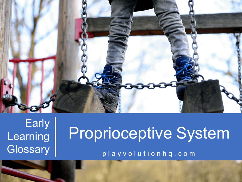 Proprioceptive System