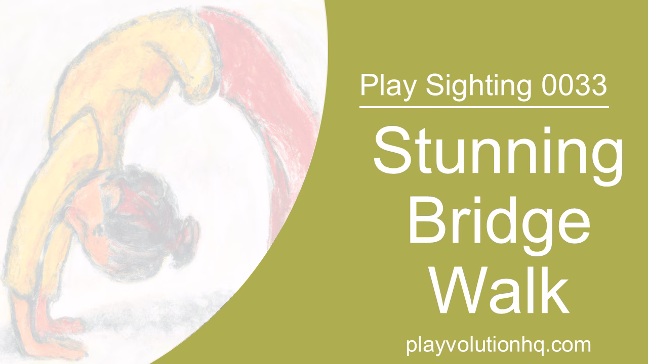 Stunning Bridge Walk | Play Sighting 0033