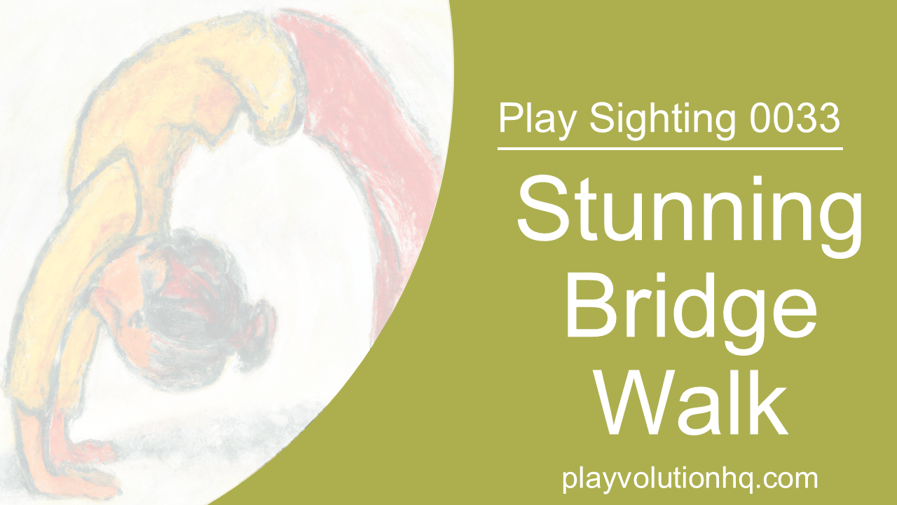 Stunning Bridge Walk | Play Sighting 0033