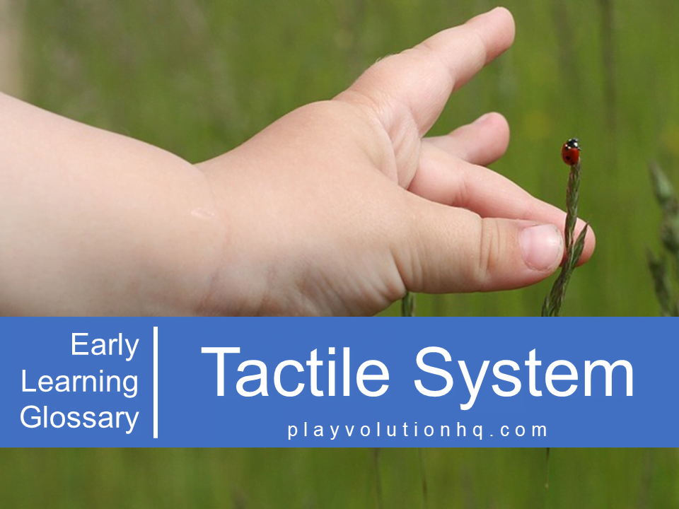 Tactile System