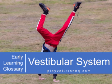 Vestibular System